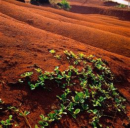 Steam免费游戏《PirateFi》被抓包：偷偷安装恶意软件